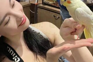 51cgfun：让你吃瓜永不迷路，瓜藤下的秘密太诱人了！