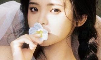 观看与下载的完美结合！51吃瓜网带你穿越八卦世界！