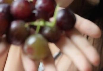 818版的718.st苹果版，换哪了真心让我觉得它是换个皮的梦！