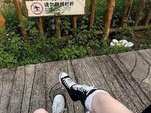 这瓜真甜！快来看看这款吃瓜直播app能给你带来多少惊喜！