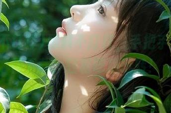 黑料不打样，手把手教你如何下载，轻松吃瓜玩转！