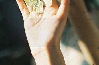 黎明前的黑料不打烊，神秘链接引导你穿越传送门！