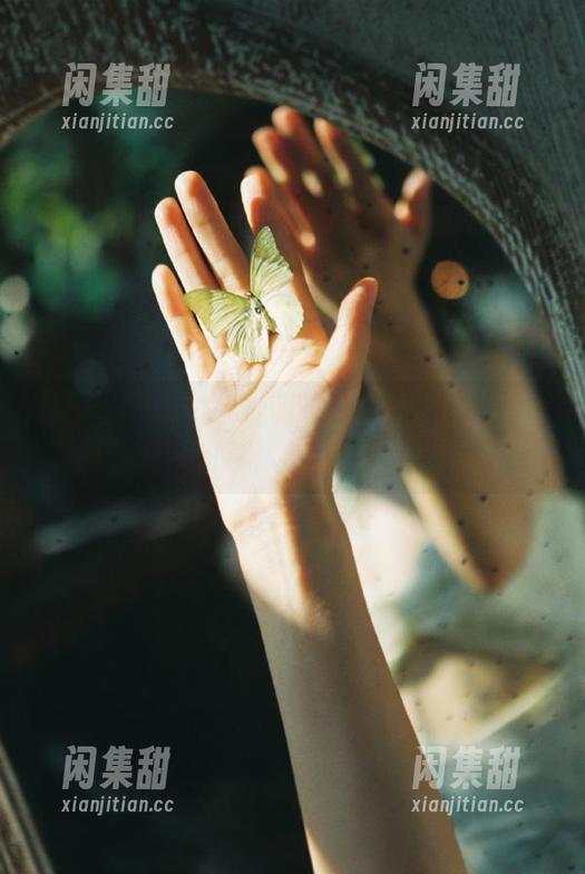 黎明前的黑料不打烊，神秘链接引导你穿越传送门！