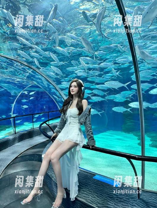 黑料网app：你以为它关门了？不，它只是为你的八卦人生开了个夜班！